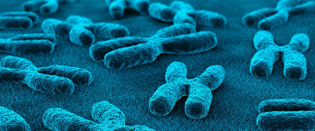 Human Genetics